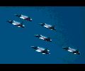 F-5_aero.jpg