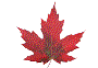 Canadian Maple Leaf